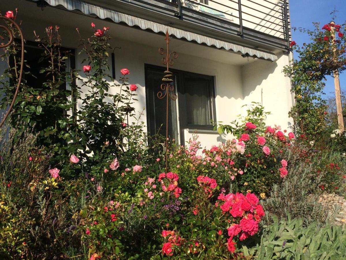 Maria Apartment Rettenbach am Auerberg